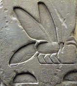 Abeja, jeroglífico egipcio en piedra