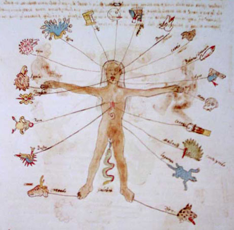los veinte días del calendario mesoamericano en relación con el cuerpo humano. Códice Vaticano A, pág. LIV.