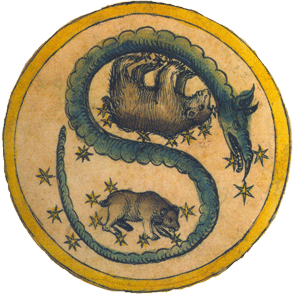 la Osa Mayor, la Osa Menor y el Dragón. Manuscrito de astrología, París.