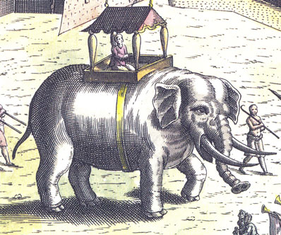 Elefante. En Teodoro de Bry, Asia y Africa.