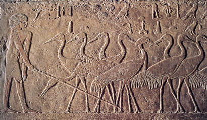 Grullas, bajo relieve de Saqqara